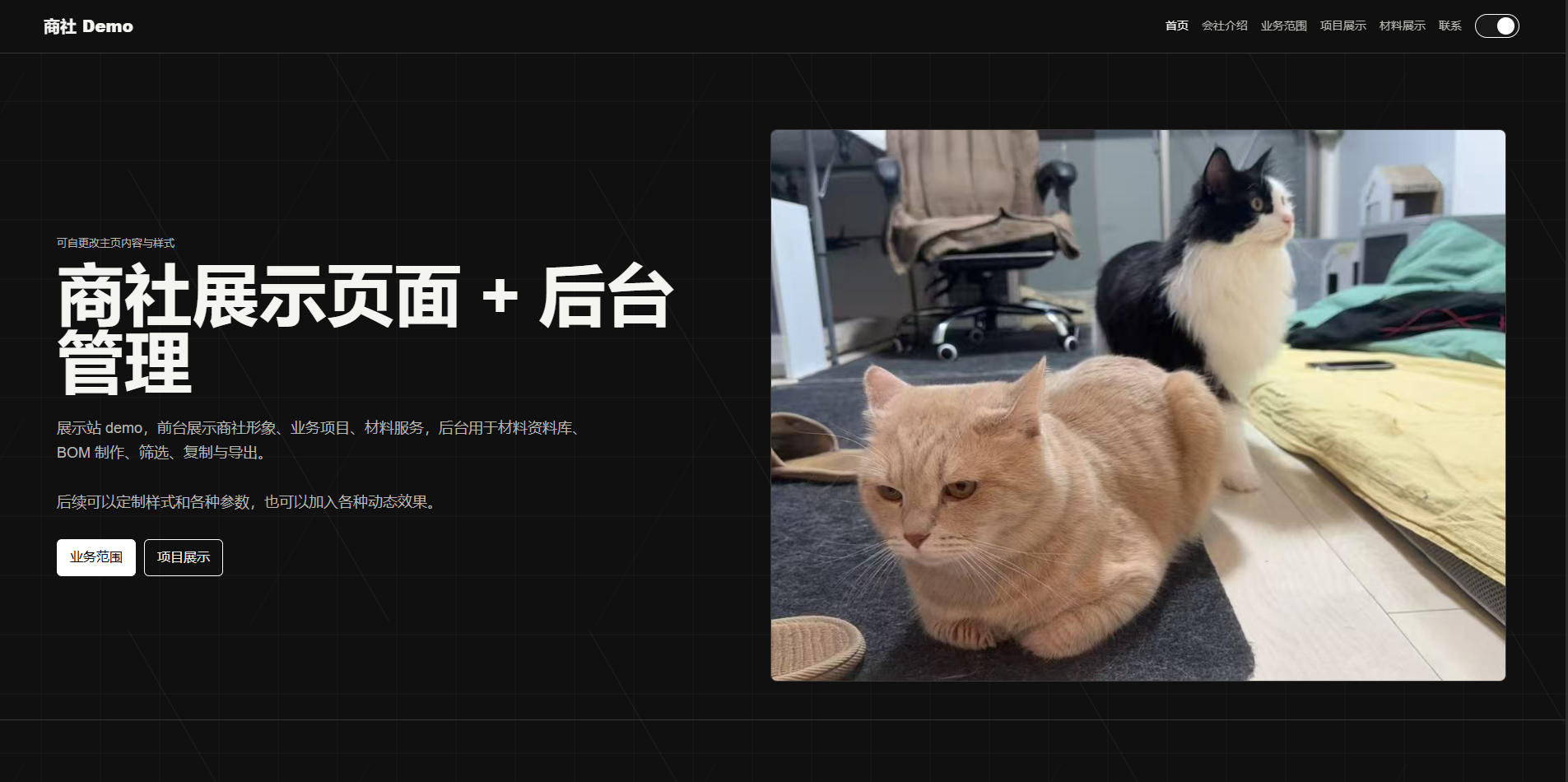 项目图片